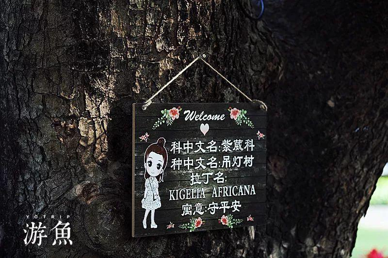 虫虫助手下载