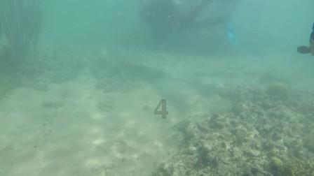 山西7旬老人进山采药，悬崖下获得“鬼见愁”，做成拐杖2万不卖