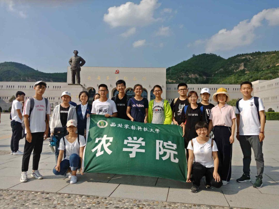 蒸汽时代的公主