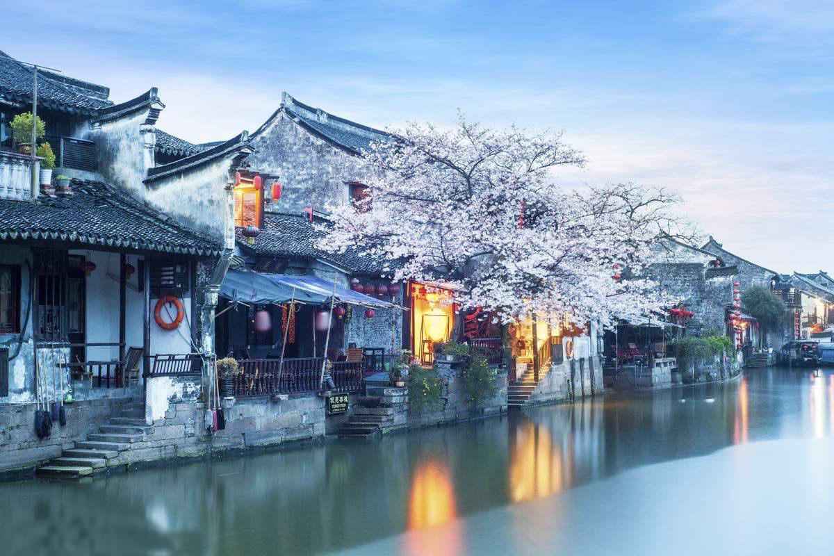 健美大赛